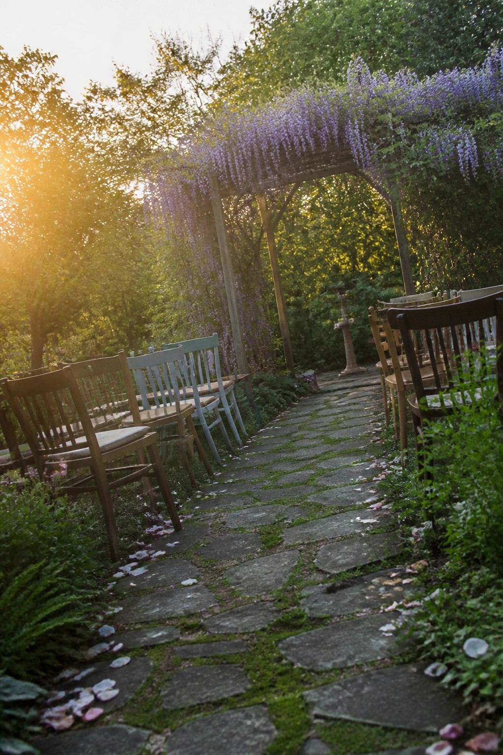 Stone pathway under blooming wisteria arch with mismatched chairs in a sunlit garden