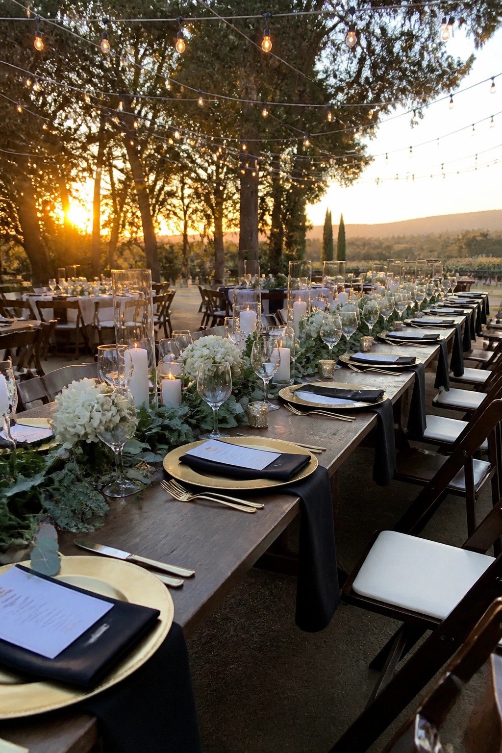 Long wooden tables set with gold plates black napkins and white flowers at a vineyard wedding during golden hour with string lights overhead.